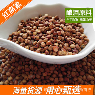 �|���t�������l���a���w���¸���50��ᄴ�ᄾƴ��b�Zʳ��Ƥ�t����