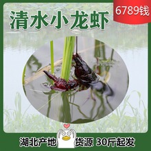 ������������r��С���r6789�X������ˮ�r��ˮ�r30����a��ֱ�l��