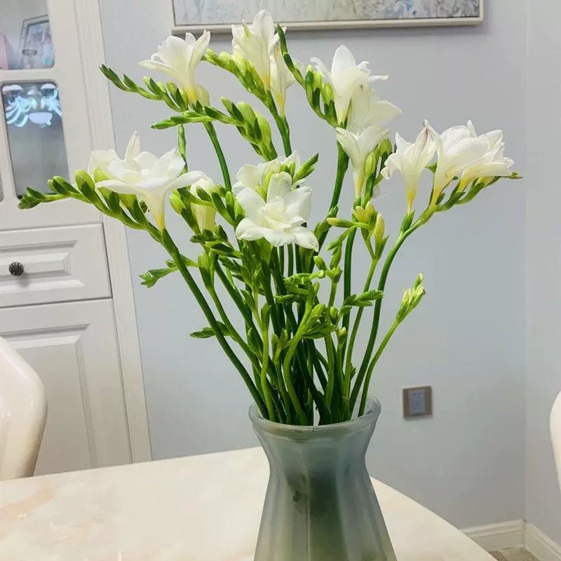 Цветочные луковицы алиссума на гидропонике цветут в любое время года, свежие срезанные цветочные растения с бутонами, луковицы фрезии, сильный аромат, разноцветные.