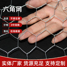 ���ǔQ�������W�Ƶ��c�b廨���ǾW��ˇ��\�z�W�����BֳȦ