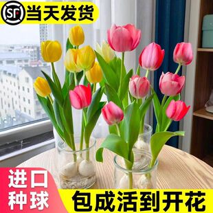 �M��������N��ˮ��ֲ���҃��̨���ԷN�Ӻ��Bˮ�ɻ��ܳ�Ʒ�r����