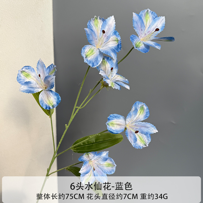 수선화 6송이