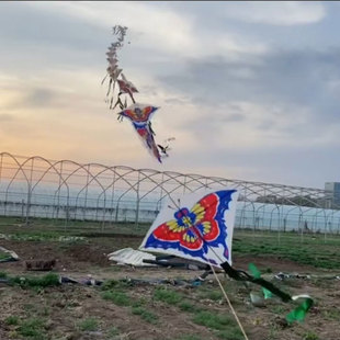 �¿ͯ�L�~ ʮ�ִ��L�~ С���L�~ ���l�L�~ ���c�����L�~