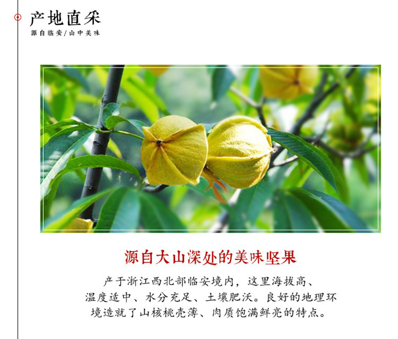 山核桃详情_05