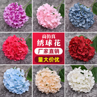 ���򻨷��滨��c��ˇ��Y��̨���û��Ĳ廨·������[�������T