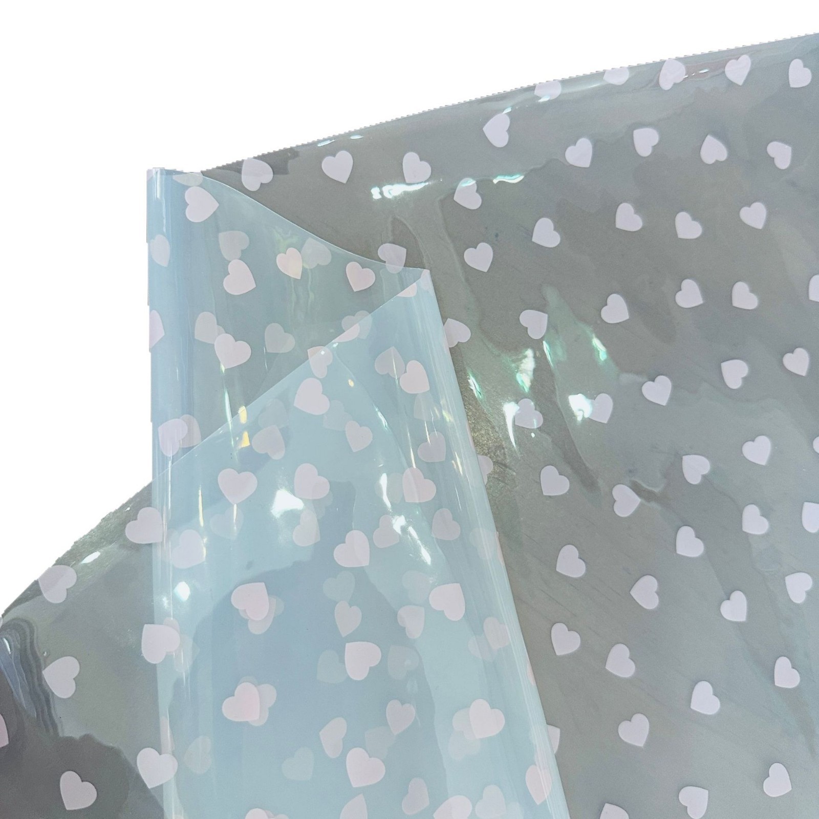 2025-03-19 14:08:31.jpg