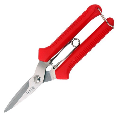 Taiwan Sakawada 910 fruit thinning scissors, fruit picking, grape sawtooth blades, fruit picking, pepper, stainless steel scissors