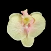 Yellow, big, 11.5cm
