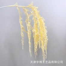 ���������~������R�����z���ϻ��Ƶ��c��Y�õ���b����廨