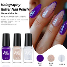 网红新款3色套装指甲油爆闪显白免烤快干无气味不掉色美甲店专用