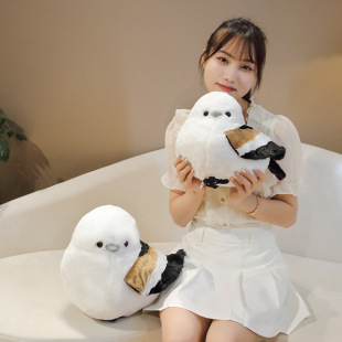 ��ͨë�����Lβɽȸ����ë�q�����ȸ��ż�Ҿ�ɳ�l�������|������
