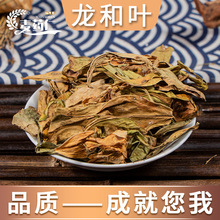 龙和叶 龙脷叶龙俐叶龙舌叶牛耳叶 亳州中药材批发中草药药食同源