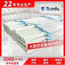 ����Ҏ��ɲô�С����U֧�ܜ��һ����߲˴��ﲣ���w�S������Ǽ�