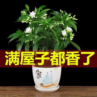 ���㻨���Ի����҃Ȼ��Gֲ�̨�ļ������_�����෼���辰���^ֲ��