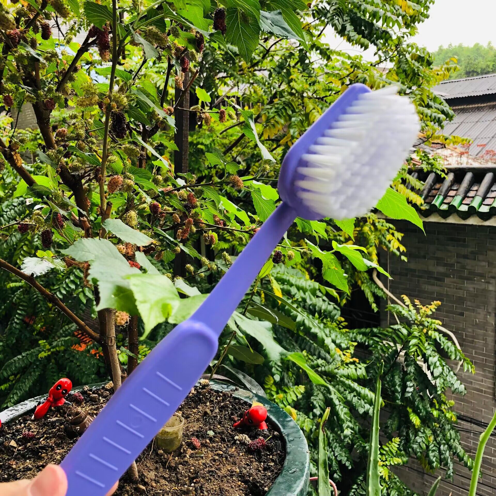 Forma de cepillo de dientes grande BATHBRUSH baño frotar la espalda cepillo de dientes grande colgando baño limpieza cepillo suave