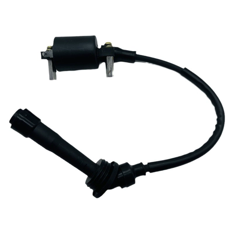 Применимо к Benali Baby Lion 250 Little Jinpeng 251 BJ250TRK251 высоковольтный пакет катушка зажигания Высоковольтная крышка