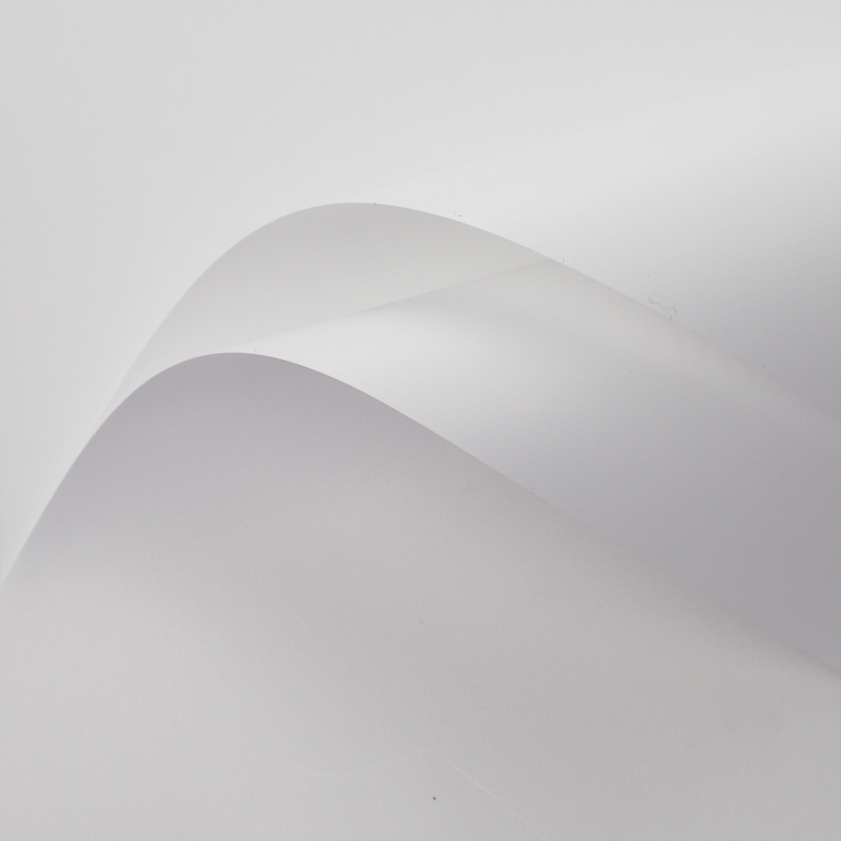 7 colores cordier sólido papel 8 hilos engrosado impermeable sólido papel floral floral florista embalaje de flores DIY embalaje