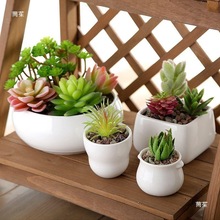 �nʽ���s���ͻ��P�����������������մ������L�����L�l���Ի���