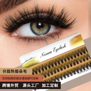 批发单簇自嫁接眼睫毛 10D-100D分段热熔朵毛假睫毛浓密柔软 跨境