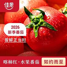 �½��Ѿ������t����3�ﾫ�x�Y���b ٤���h���t������������S���\