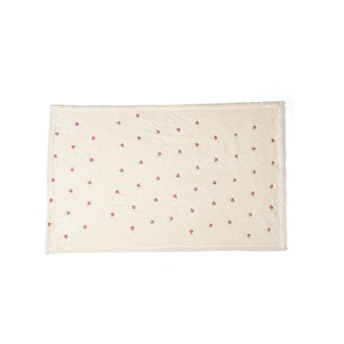 Korean Ins style new baby fleece blanket, baby blanket, children's embroidered autumn and winter nap blanket