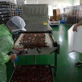 浩铭厂家供应  微波烤虾机  即食大虾烘干设备 大枣烘干机