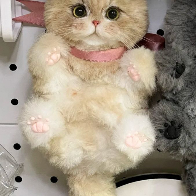 可爱扭扭棒高颜值猫咪手工diy编织材料包桌面摆件包包挂件送朋友|undefined