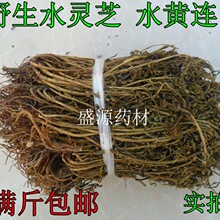 批发中药材水灵芝水黄连青鱼胆草雪灵草大货量大从优加工超细粉