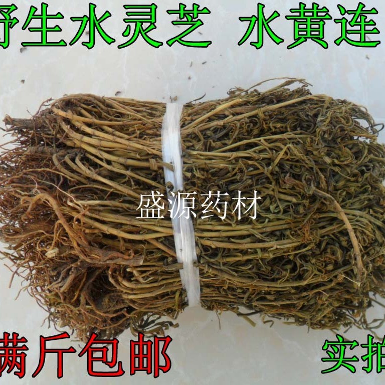 批发中药材水灵芝水黄连青鱼胆草雪灵草大货量大从优加工超细粉