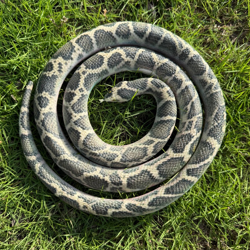 Cross-border UV printed realistic snake toy, soft rubber fake snake animal model, prank scary snake, popular rubber snake Cross-border UV printed realistic snake toy, soft rubber fake snake animal model, prank scary snake, popular rubber snake
