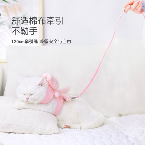 Cat leash prevents break-away and goes out special cat leash, cat leash, cat leash, cat leash, small dog chain
