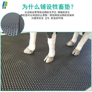 Cross-Border Export Anti-Slip Livestock Mat Wear-Resistant Cooling Hydrophobic Dot Pearl Pattern Cowshed Mat Stable Piglet Insulation Mat