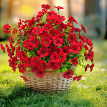 ���R�d�羳7�^�ȼ����軨õ�廨���ϼٻ��ȼ������滨���׻�����