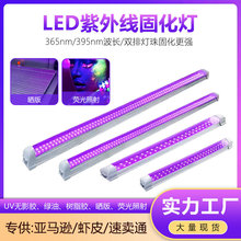 高效T5/T8一体UV胶固化紫光黑光荧光舞台派对365nm紫外线照射灯管