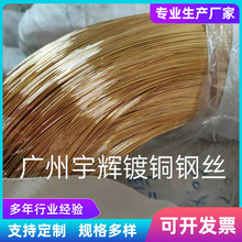 ��~䓽z�S��ֱ�� 0.6  0.7  0.8�F؛  �㽭Ԫ����\�F�z0.4 -5.0