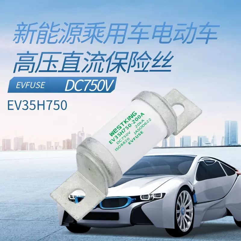 新能源电动车750VDC高压保险丝主路保护直流车车用保护器熔丝汽车