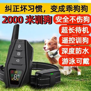 2000���˺����]�b��늓��ȦӖ����������ֹ�ͷ�������С��Ȯͨ��