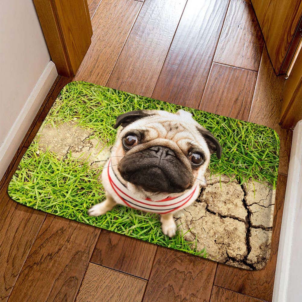 Cross-border cute pet cat decorative floor mat, bathroom absorbent skin-friendly foot mat, easy to maintain, entryway entrance mat, available for dropshipping