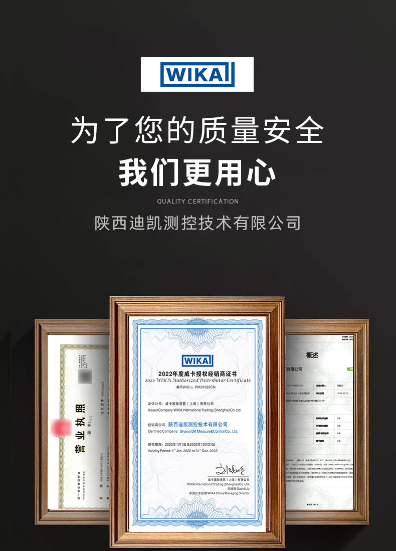 威卡(WIKA)隔膜压力变送器IS-3系列个威卡传感器-阿里巴巴
