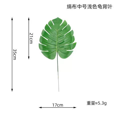 Silk cloth light color medium turtle back★