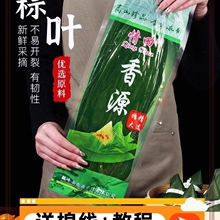 粽子叶湿粽叶新鲜大粽叶大号棕叶碱水蛋肉大粽子