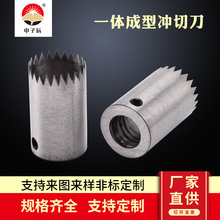 一体成型冲切刀 胶膜模切刀 圆形齿刀 打孔刀 源头厂家支技定制