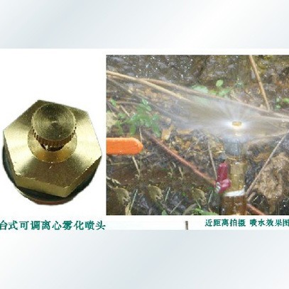 4分全铜微调平台式雾化喷头/大棚苗圃花卉加湿自动喷水喷雾喷水器