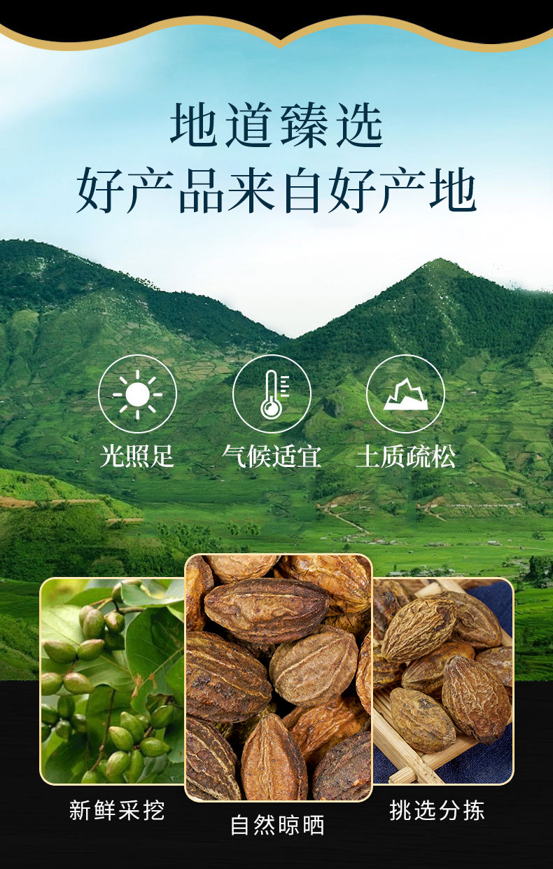 He Zi Fruit (Terminalia chebula) — Dried TCM Food Herb, Black Myrobalan, 500g overview