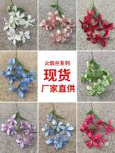 �¿�ٻ������m������c·������Y�����bƵ�zӰ���ߔ[���F�z