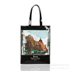 Cartoon fashionable waterproof shopping bag PVC, storage bag