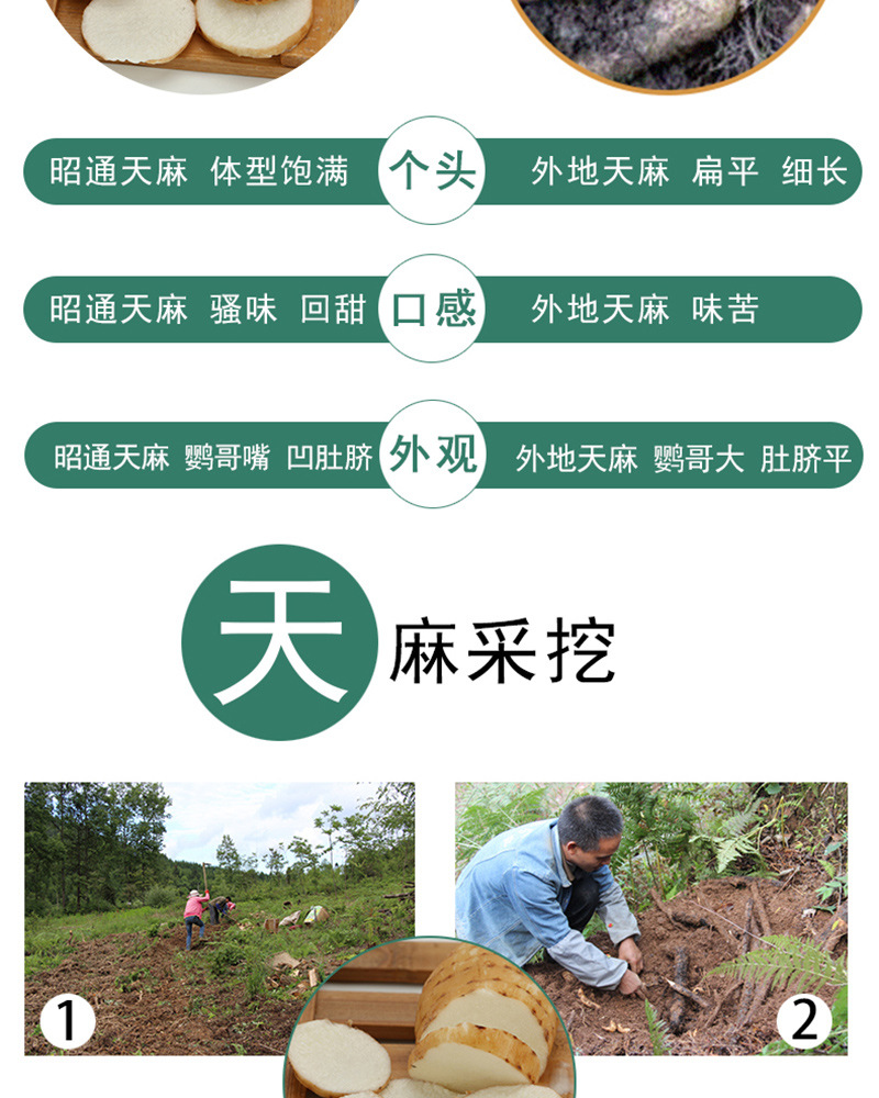 Fresh Gastrodia Root Yunnan Xiaocaoba Tian Ma 500g Wild Grown High Mountain Fresh Dug in use
