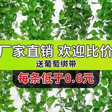 �G�~�ٗl�b����ϼٻ��Gֲ�ܵ��p�@�҃ȵ�픷��������~��ɽ������