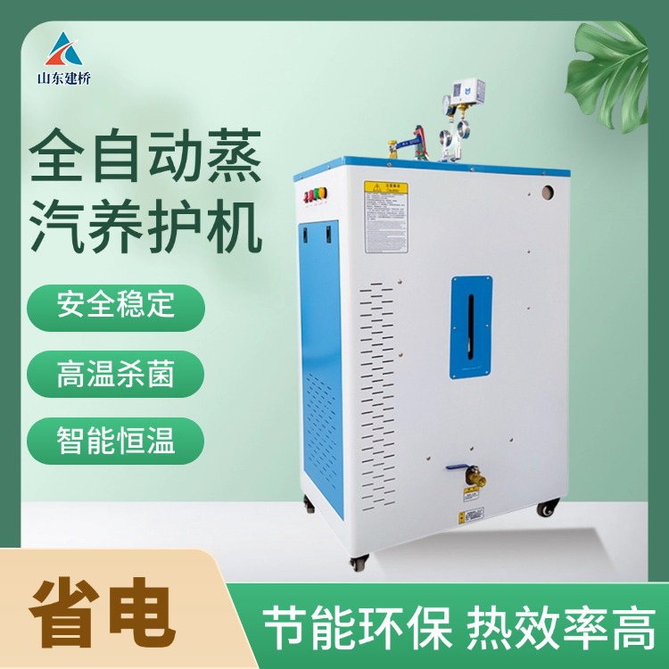 桥梁养护蒸汽机 箱梁T梁空心板梁蒸养设备 食品蒸煮服装熨烫锅炉