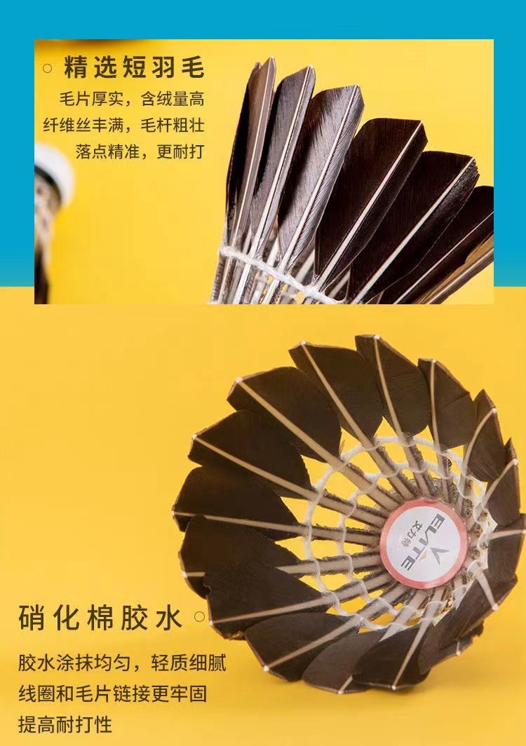 f9ea0f77-432a-4002-a5de-9ac46e03f27a.jpe